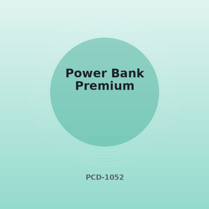 Power Bank Premium